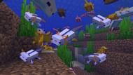 The chance of a blue Axolotl being bred naturally is 1/1200, making them exceedingly though to obtain. (Image via Mojang)